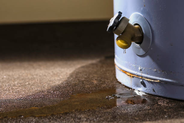 Best Sewage cleanup and water damage restoration  in Fishersville, VA