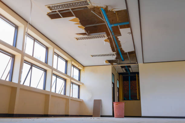 Water damage restoration insurance claims in VA