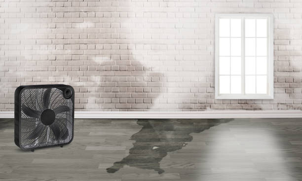 Best Water damage contractors near me  in Fishersville, VA