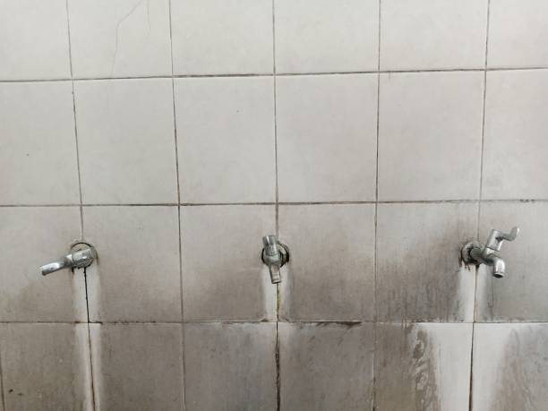 Best Ceiling water damage repair  in Fishersville, VA